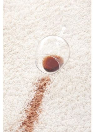 Offering an array of cleaning and damage prevention services